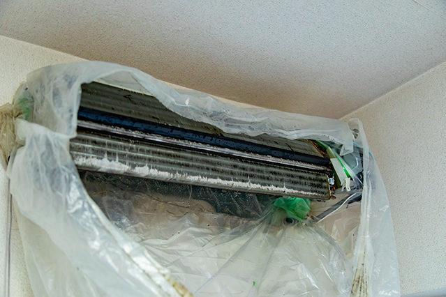 部屋を絶対に汚さない！「完全養生」へのこだわり