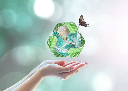 人体・環境にやさしい専用洗剤使用